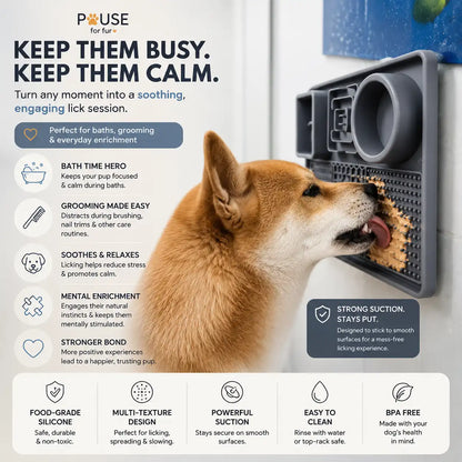 Busy Tongue Treat Mat + Free Dog Routine Bundle